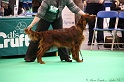 Crufts2011 331